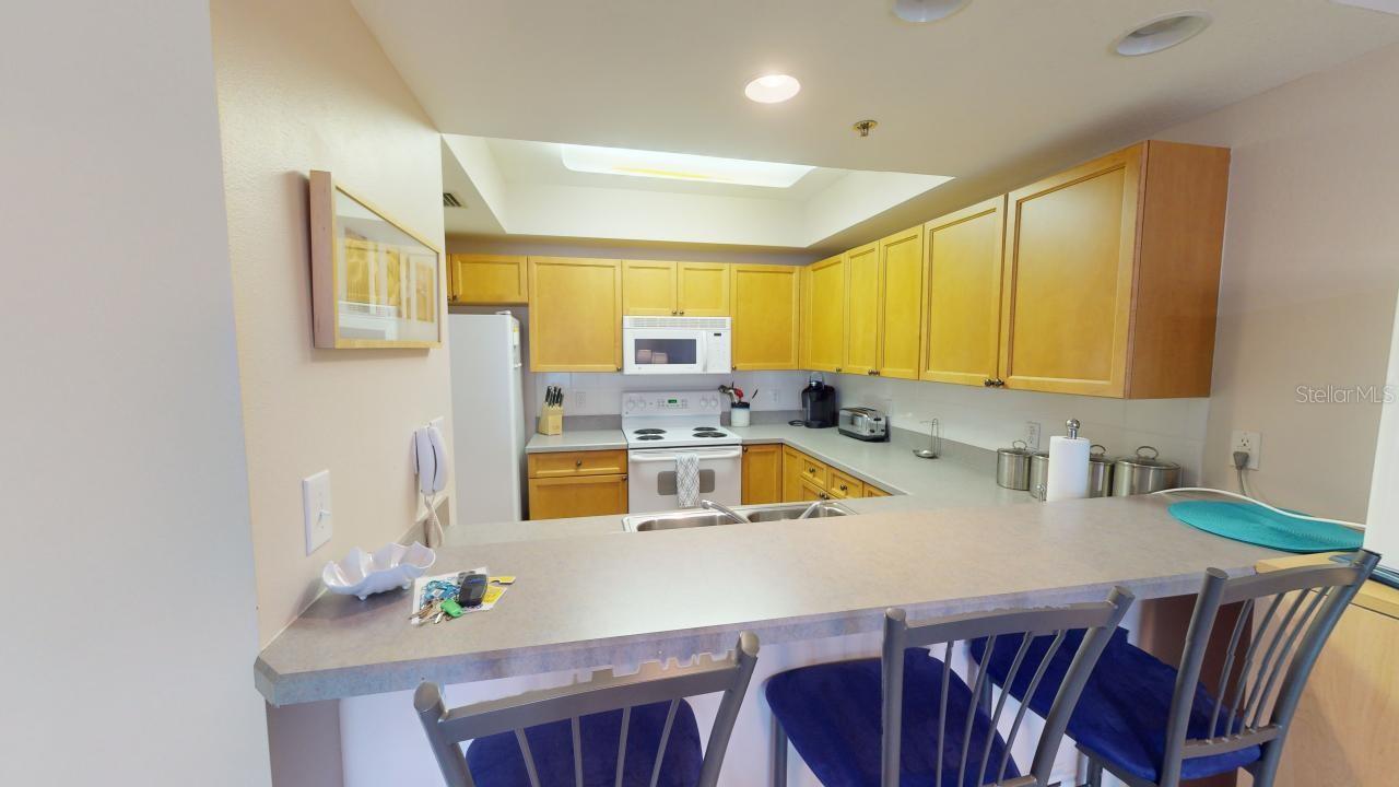 5300 S ATLANTIC AVE #23003, NEW SMYRNA BEACH, FL, 32169