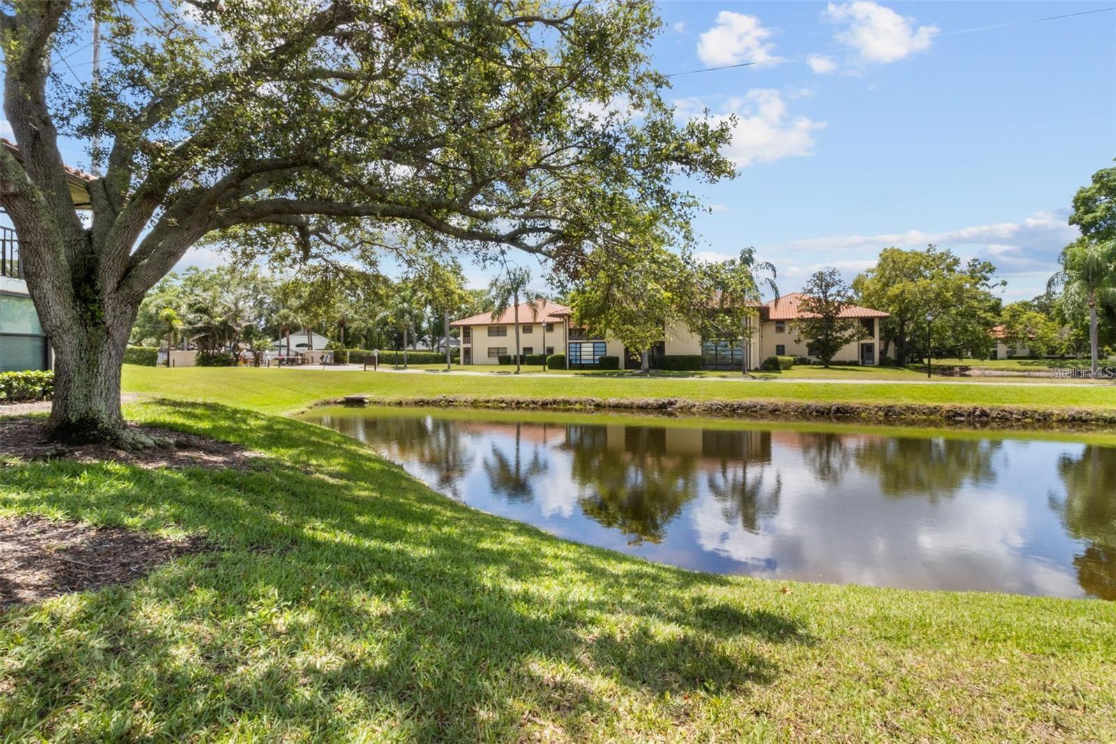 2511 HAMMOCK CT #2511, CLEARWATER, FL, 33761