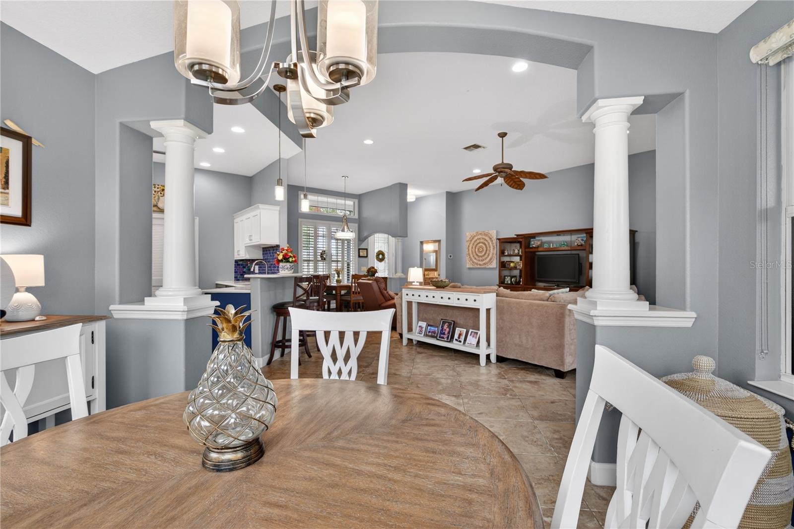 8927 BRIDGEPORT BAY CIR, MOUNT DORA, FL, 32757