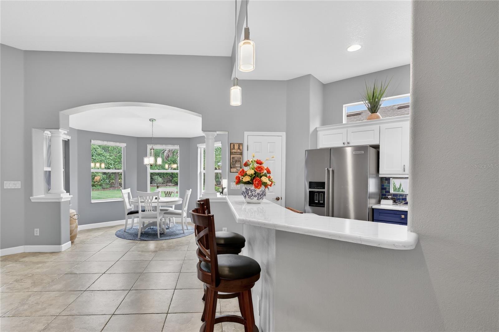 8927 BRIDGEPORT BAY CIR, MOUNT DORA, FL, 32757