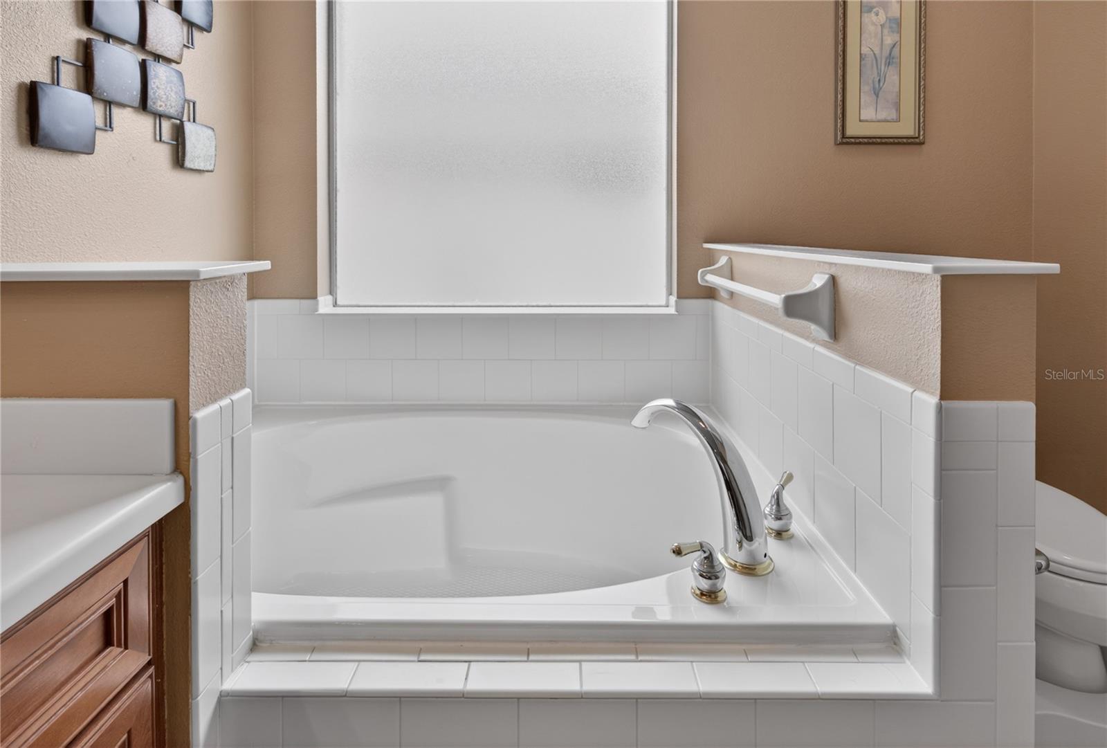 8927 BRIDGEPORT BAY CIR, MOUNT DORA, FL, 32757