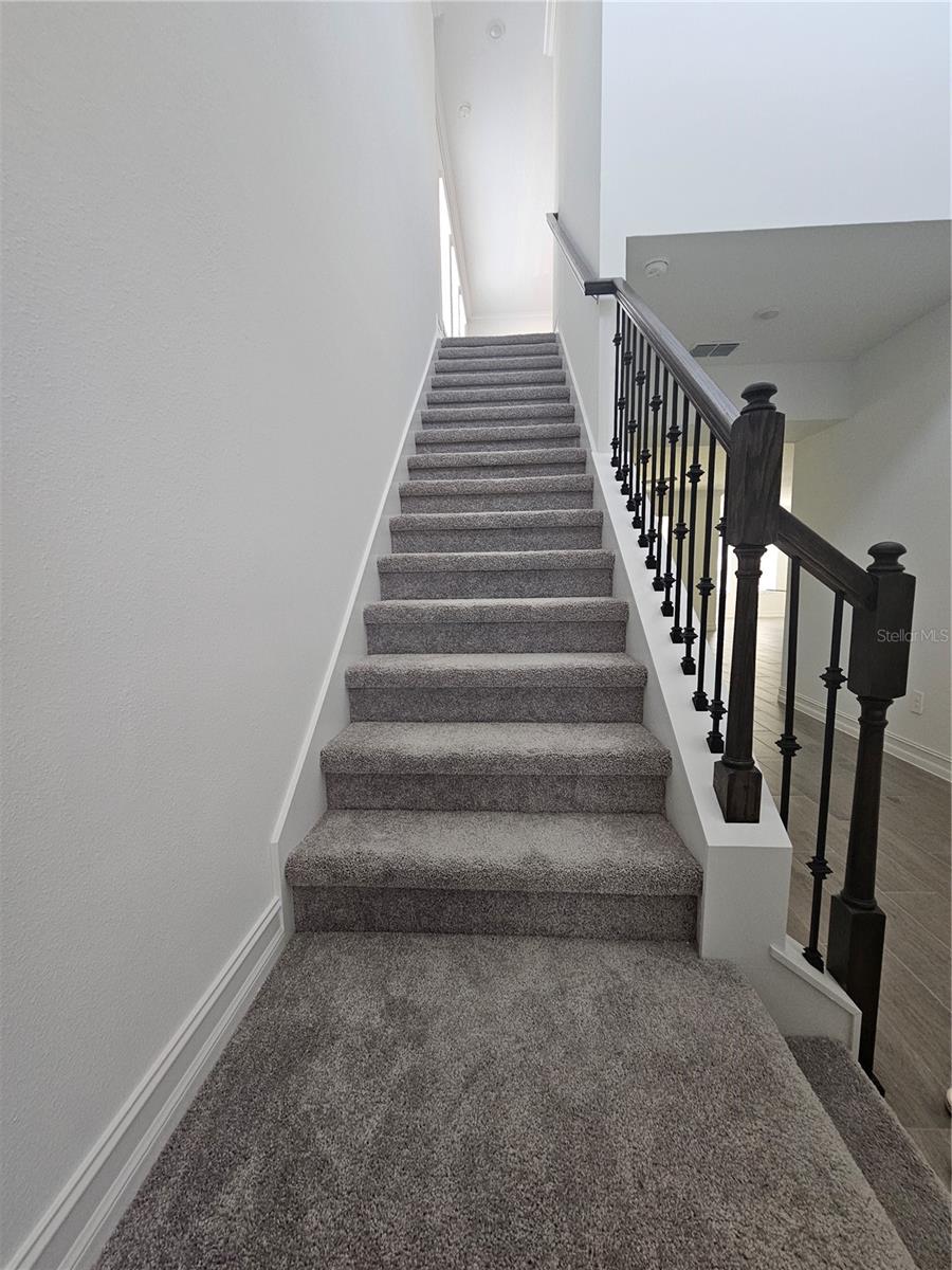18271 PEARL VIEW PL, LUTZ, FL, 33548