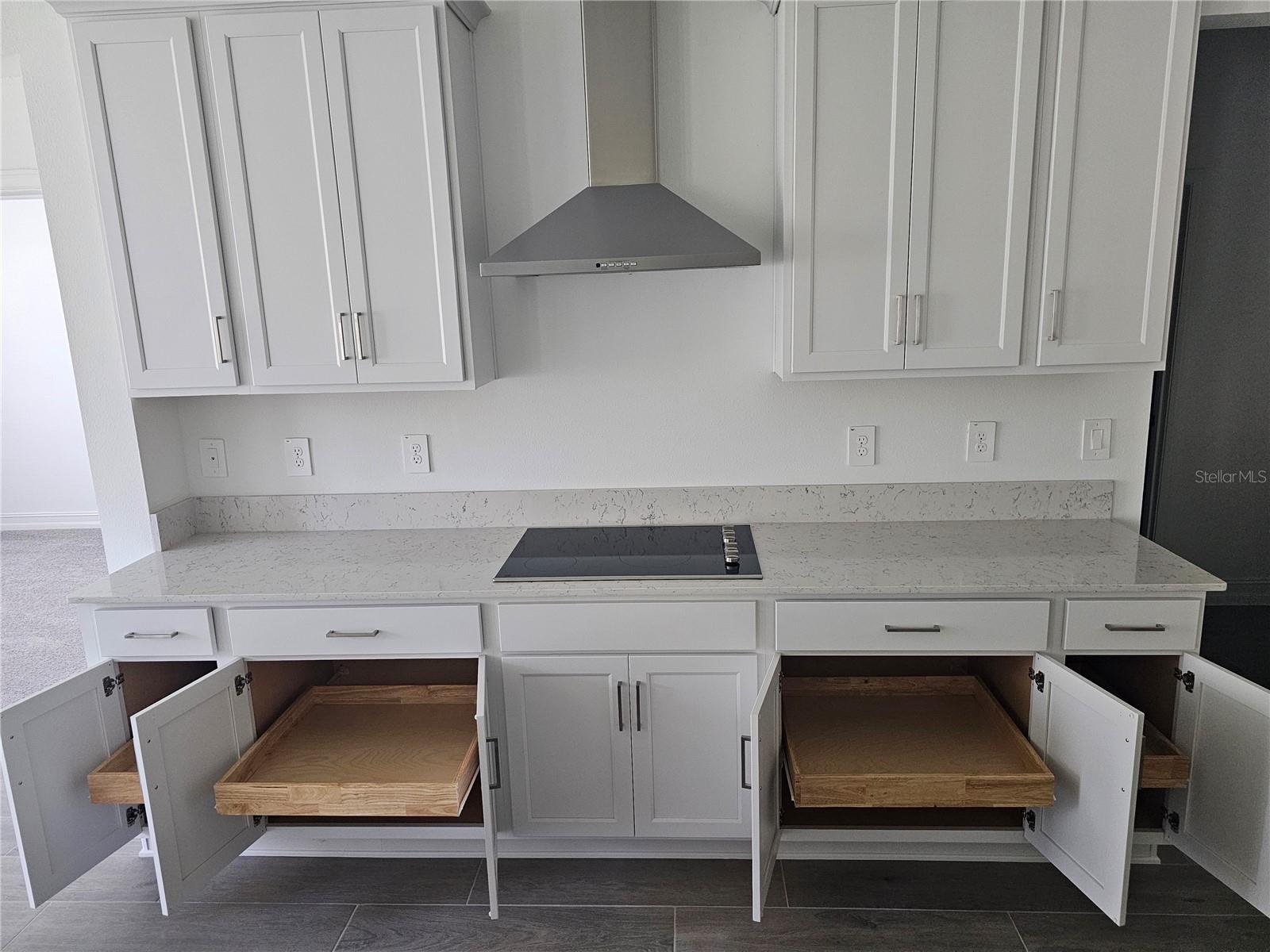 18271 PEARL VIEW PL, LUTZ, FL, 33548