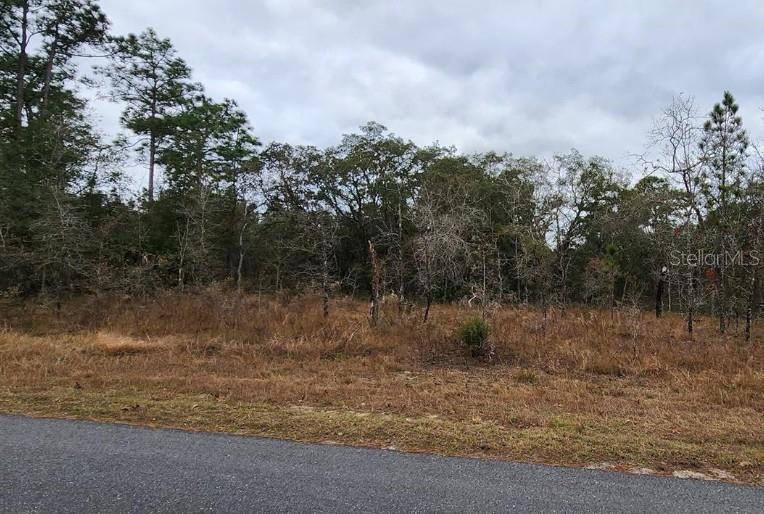 12425 MALEO RD, WEEKI WACHEE, FL, 34614