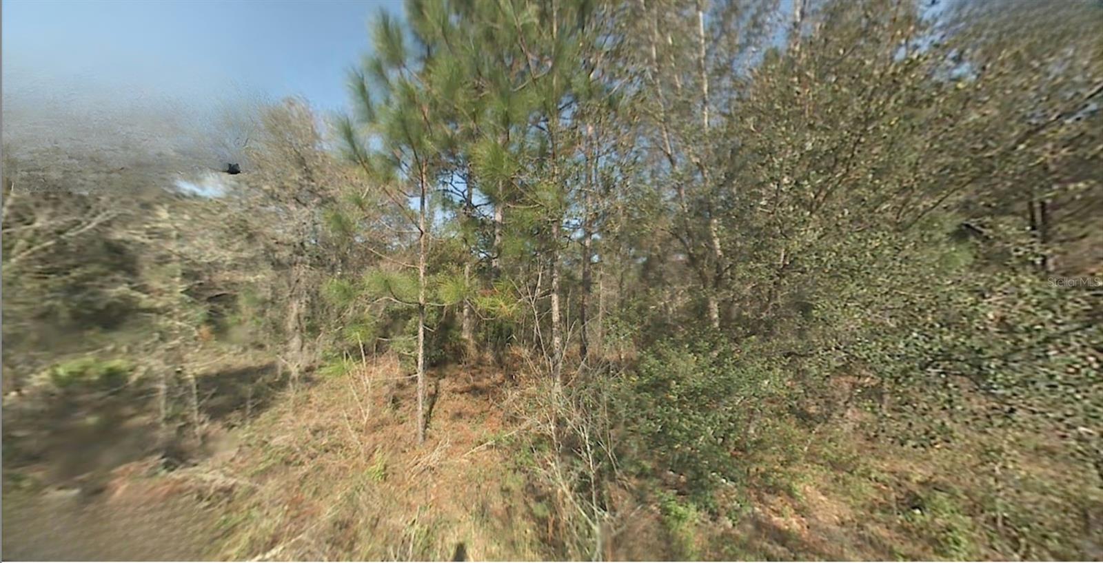 SW 22ND ST, OCALA, FL, 34481
