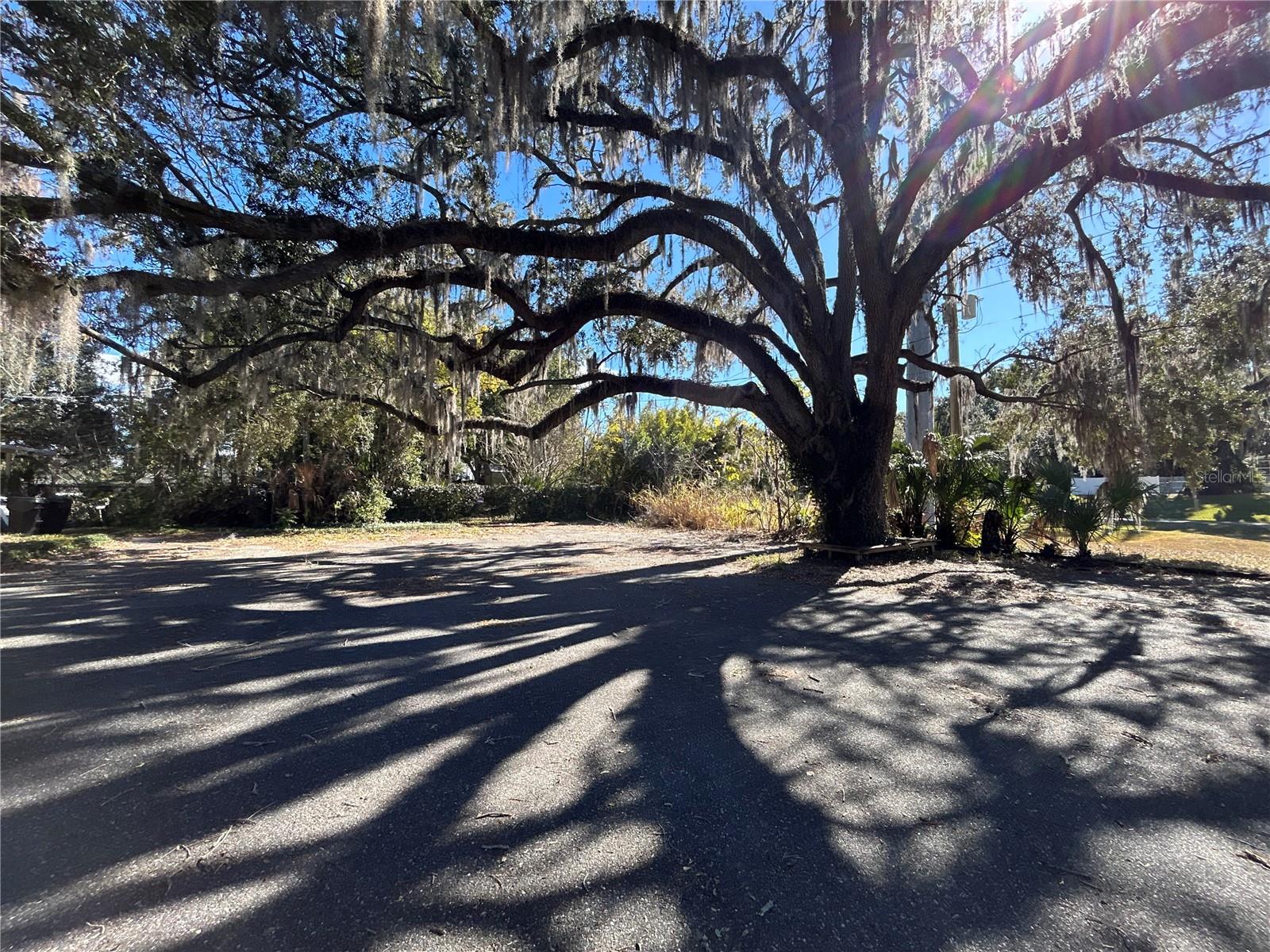 404 PERKINS ST, LEESBURG, FL, 34748