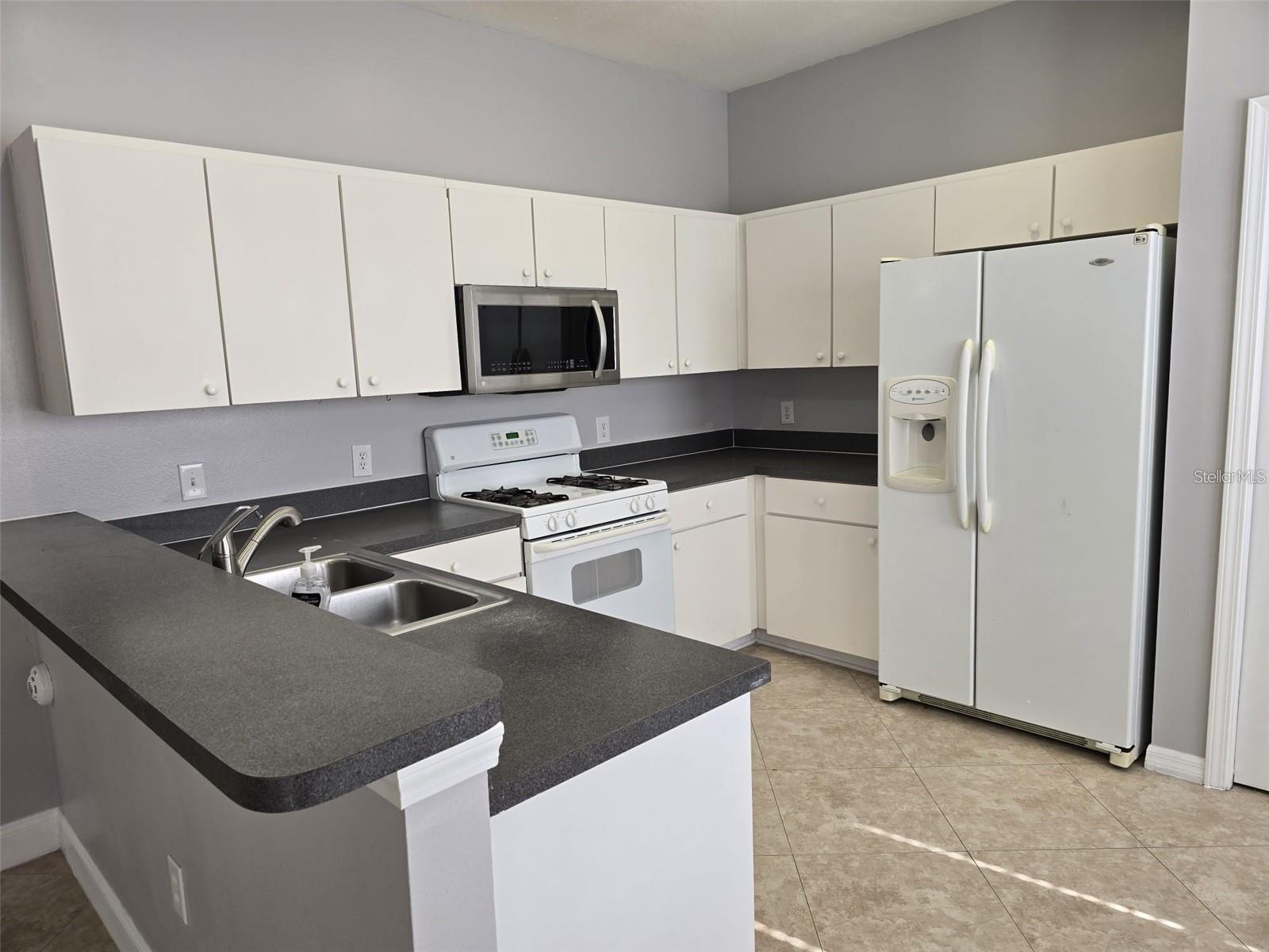 24612 PORTOFINO DR, LUTZ, FL, 33559