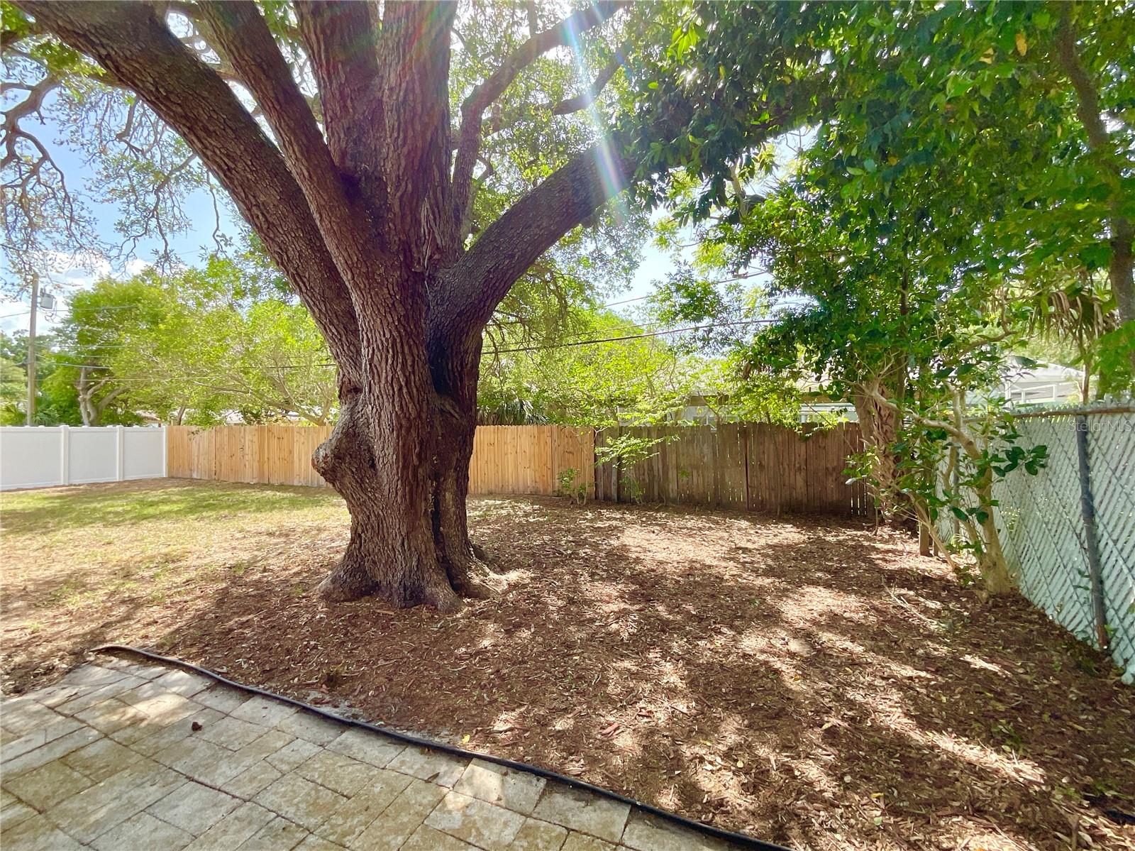 644 MANOR DR W, DUNEDIN, FL, 34698