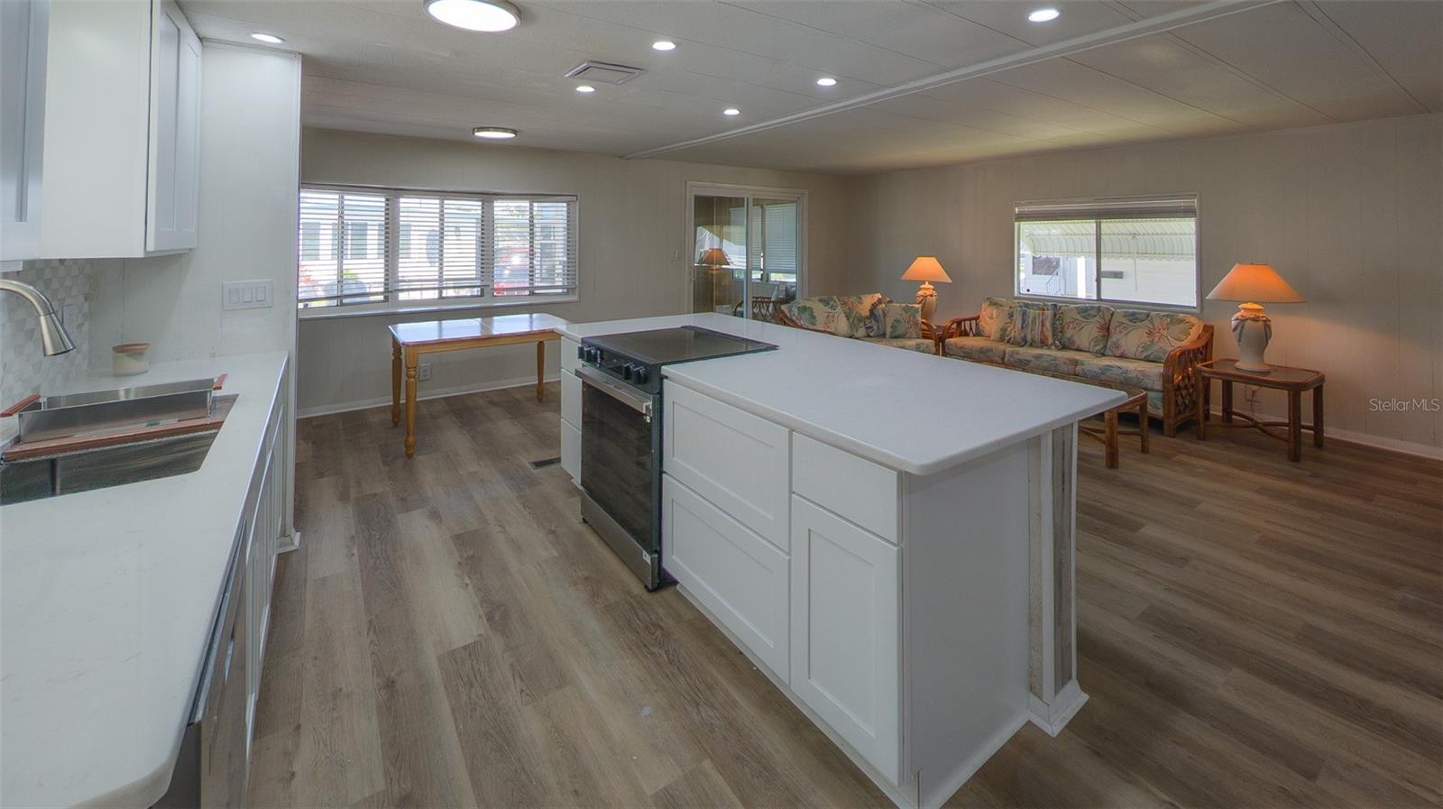 229 DIXIE, TARPON SPRINGS, FL, 34689