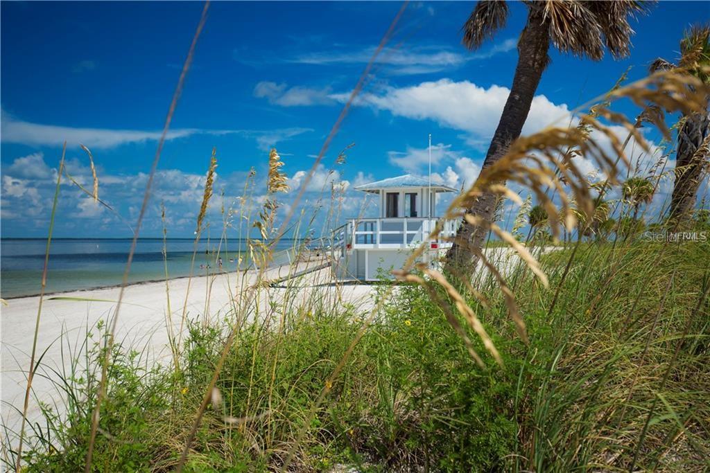 229 DIXIE, TARPON SPRINGS, FL, 34689