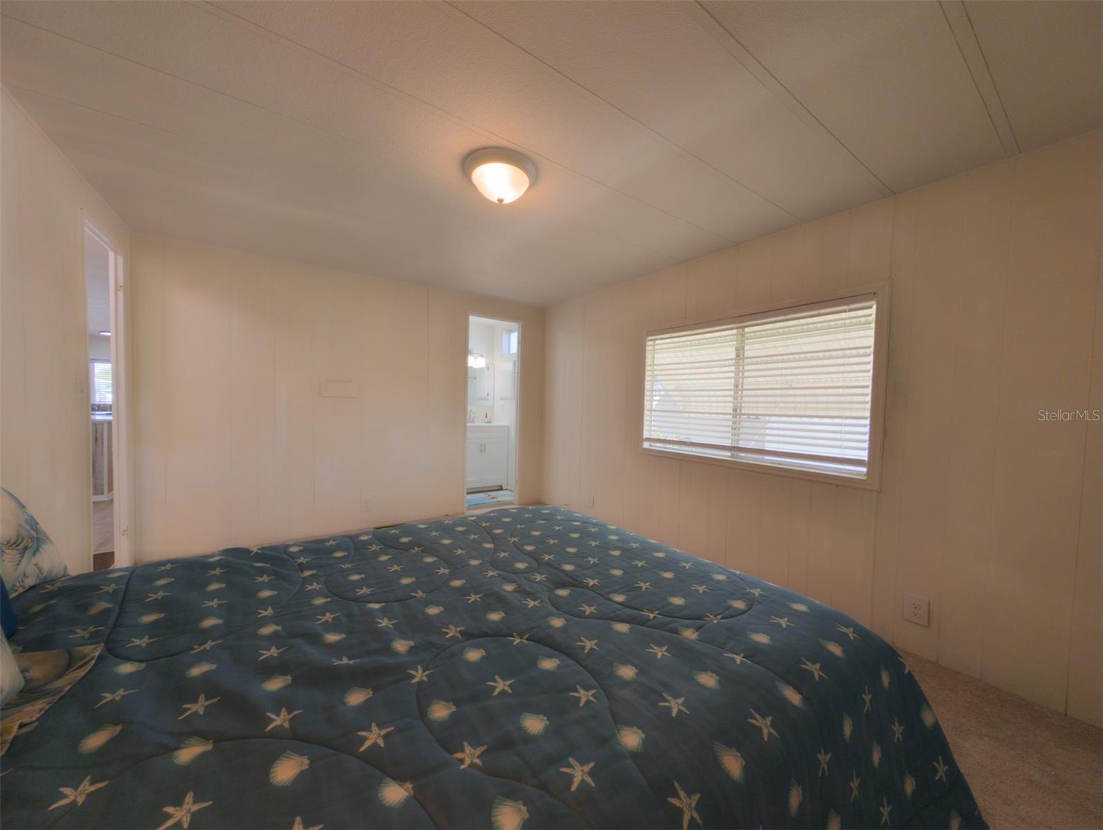 229 DIXIE, TARPON SPRINGS, FL, 34689