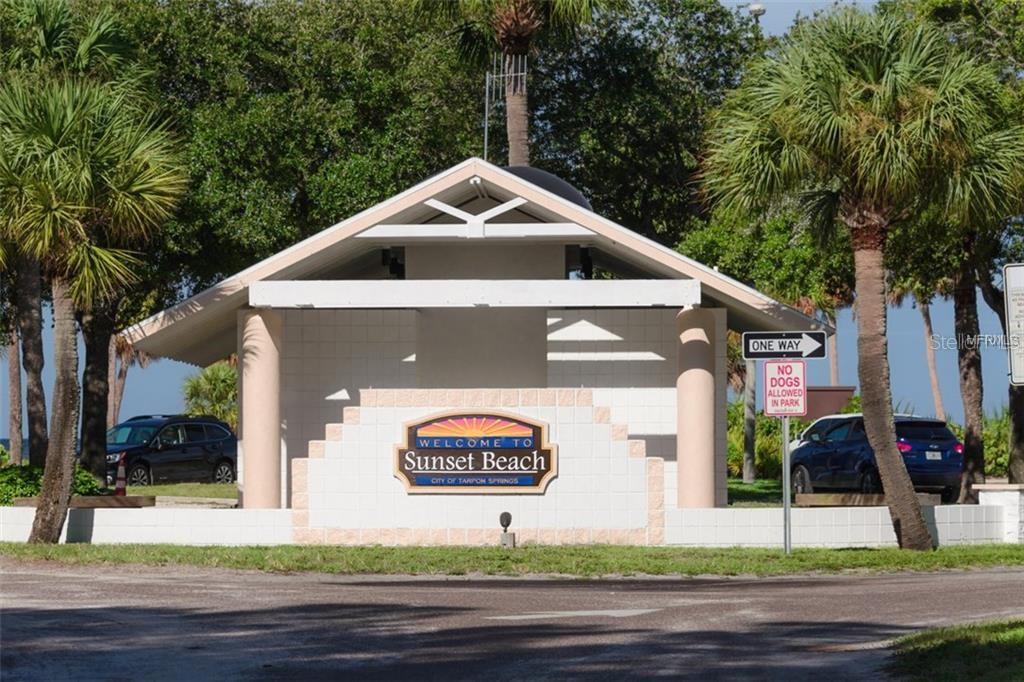 229 DIXIE, TARPON SPRINGS, FL, 34689
