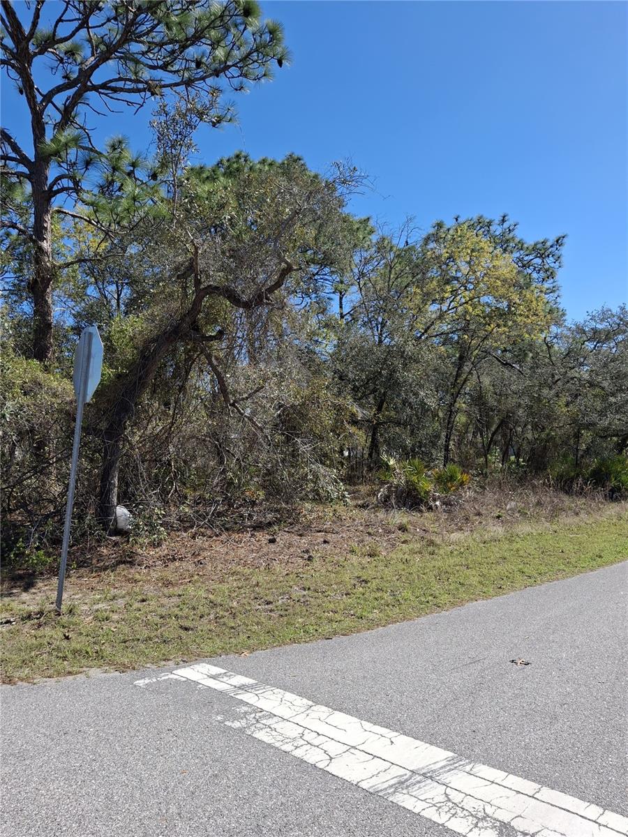 11500 LOMITA WREN RD, WEEKI WACHEE, FL, 34614