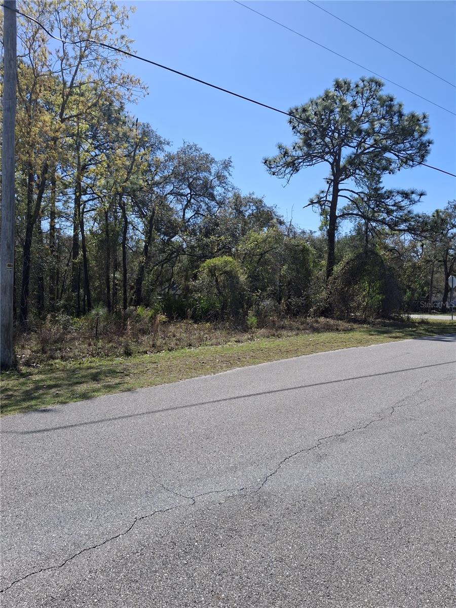 11500 LOMITA WREN RD, WEEKI WACHEE, FL, 34614