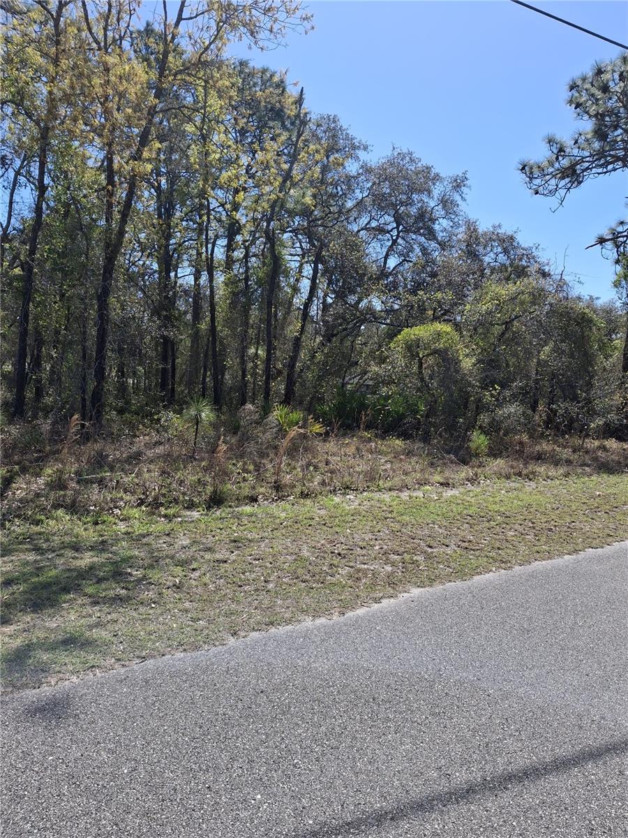 11500 LOMITA WREN RD, WEEKI WACHEE, FL, 34614