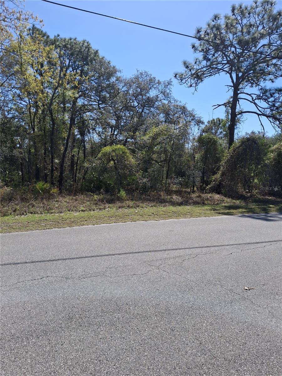 11500 LOMITA WREN RD, WEEKI WACHEE, FL, 34614