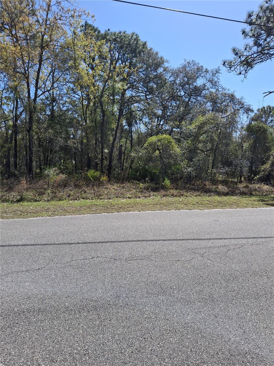 11500 LOMITA WREN RD, WEEKI WACHEE, FL, 34614