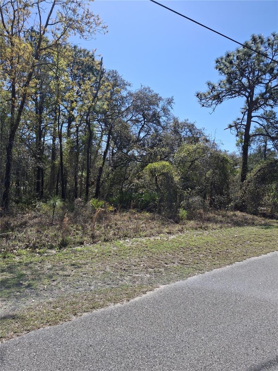 11500 LOMITA WREN RD, WEEKI WACHEE, FL, 34614