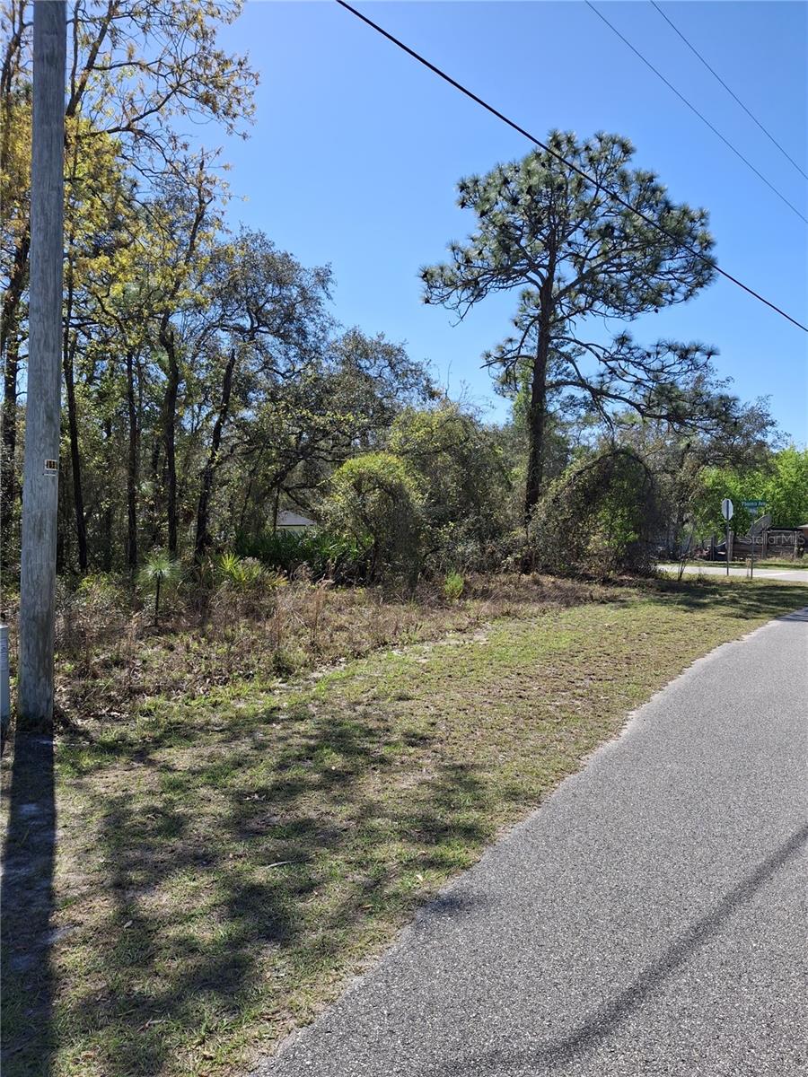 11500 LOMITA WREN RD, WEEKI WACHEE, FL, 34614