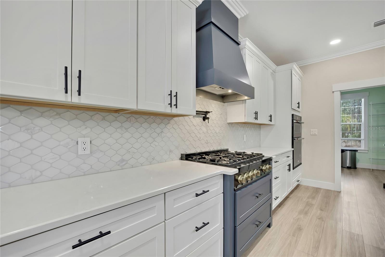 3991 N BUCKHORN DR, BEVERLY HILLS, FL, 34465