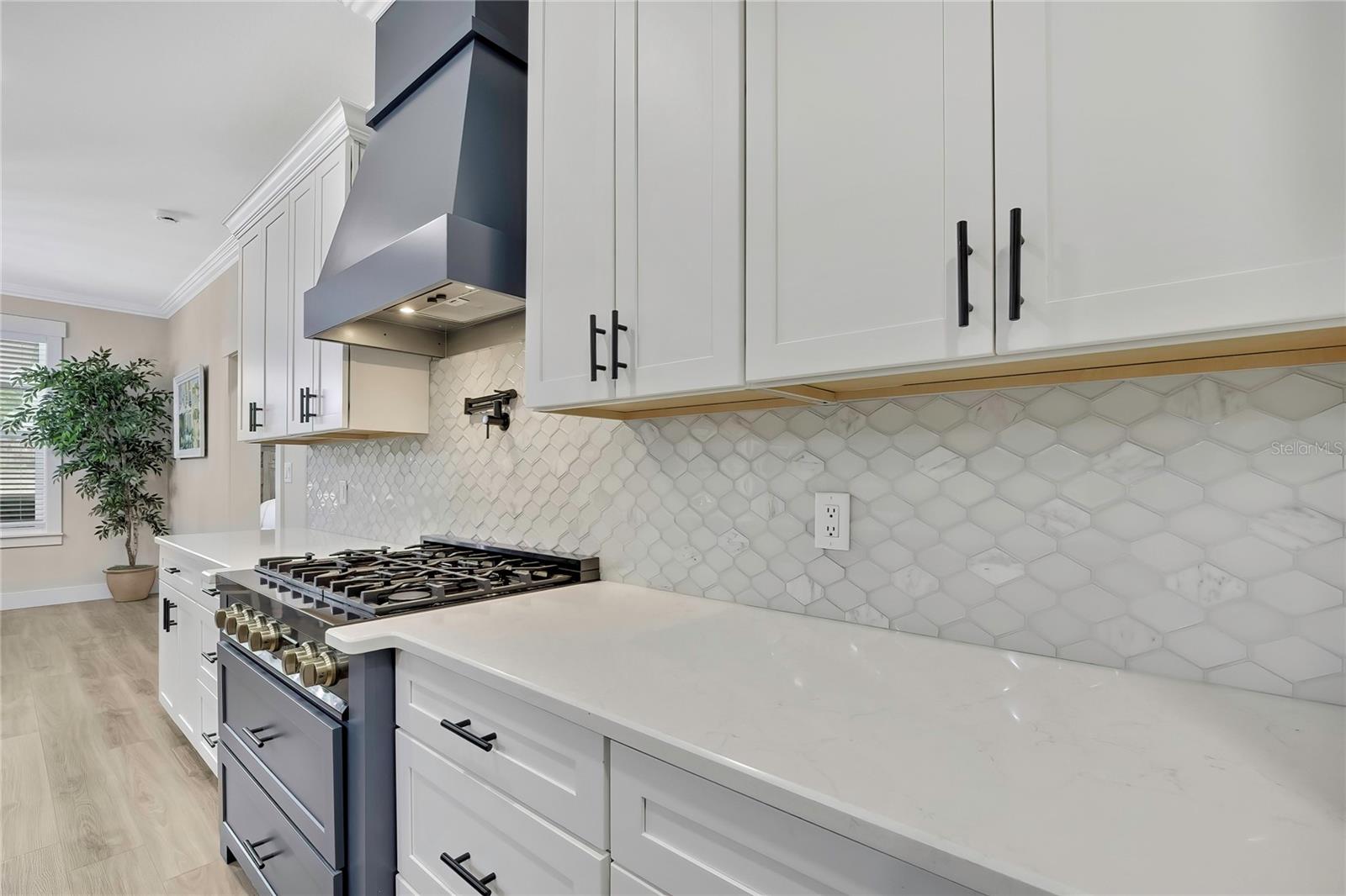 3991 N BUCKHORN DR, BEVERLY HILLS, FL, 34465