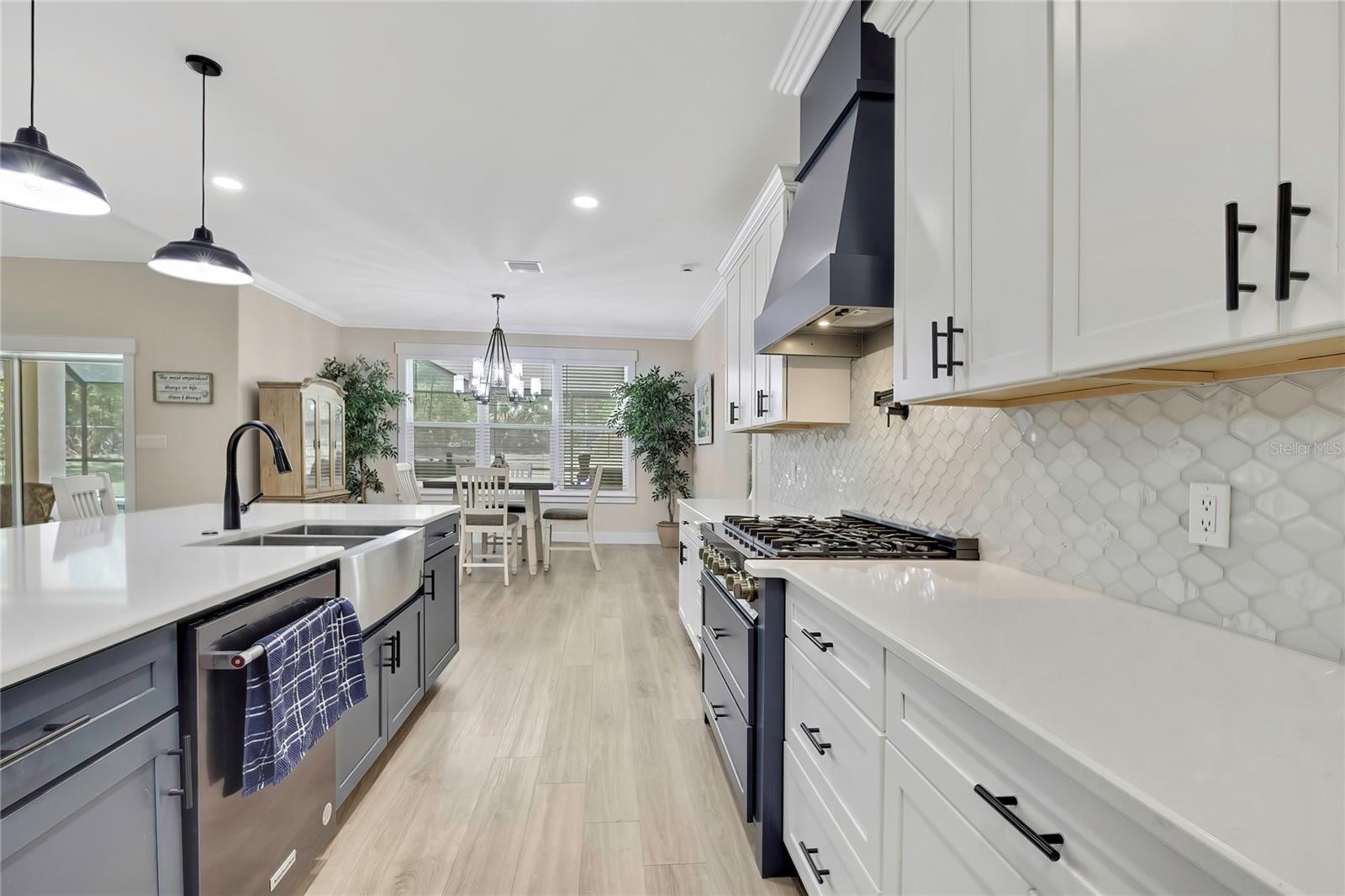 3991 N BUCKHORN DR, BEVERLY HILLS, FL, 34465