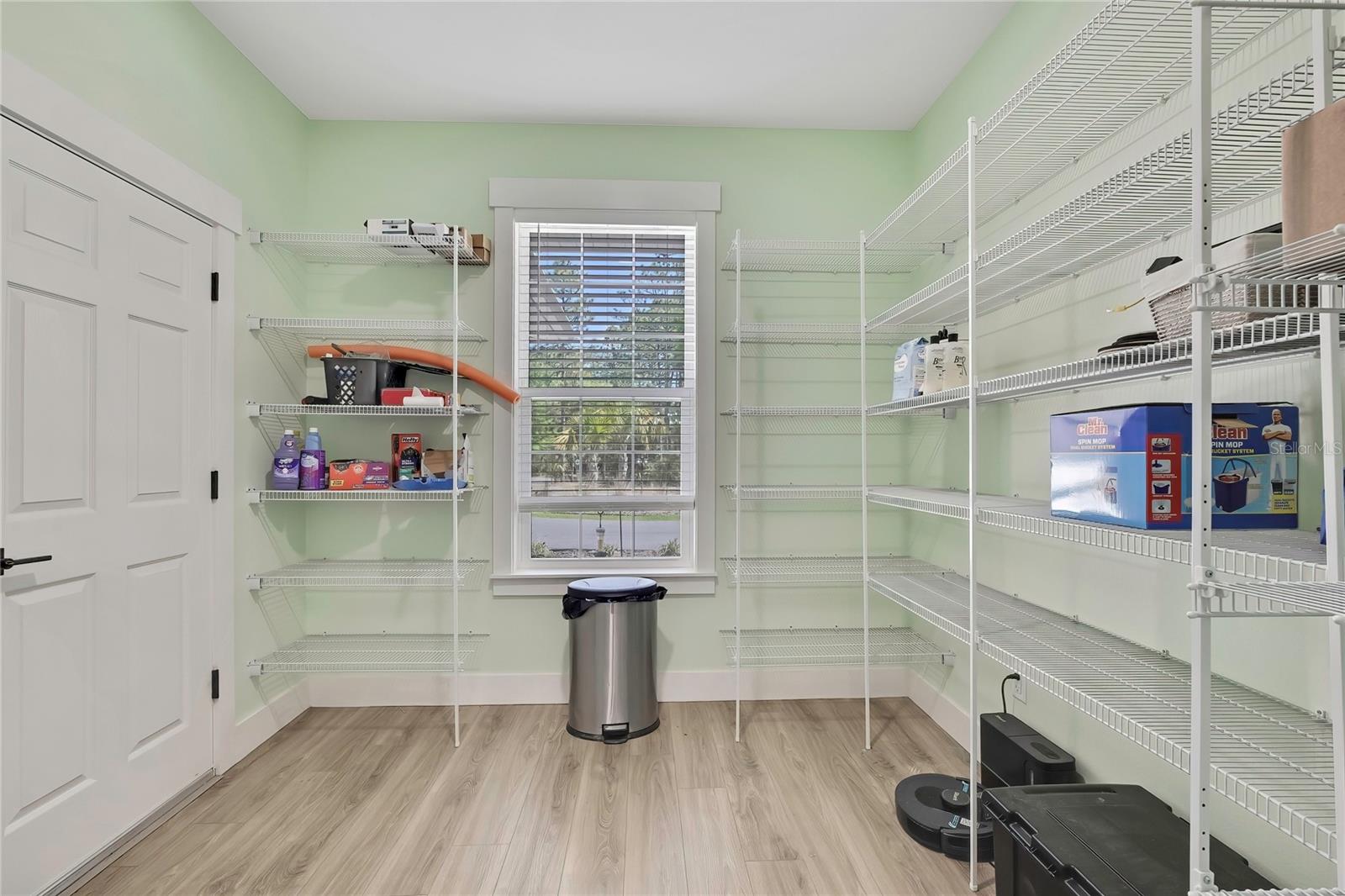 3991 N BUCKHORN DR, BEVERLY HILLS, FL, 34465
