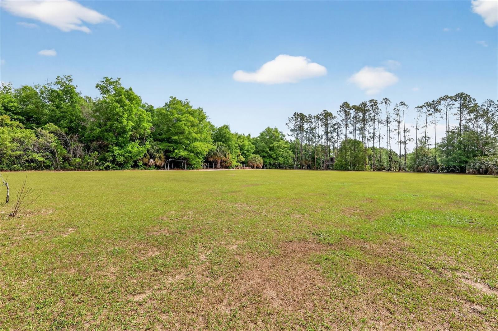 19703 TWIN PONDS RD, UMATILLA, FL, 32784