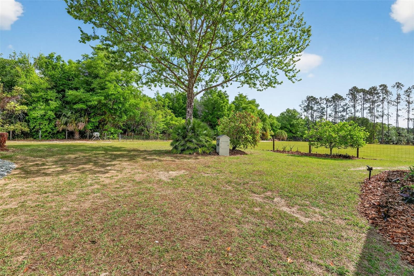 19703 TWIN PONDS RD, UMATILLA, FL, 32784