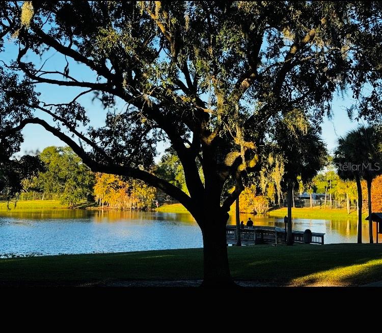 5345 AVON CT, ORLANDO, FL, 32807