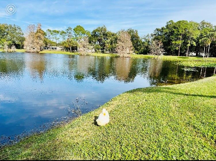 5345 AVON CT, ORLANDO, FL, 32807