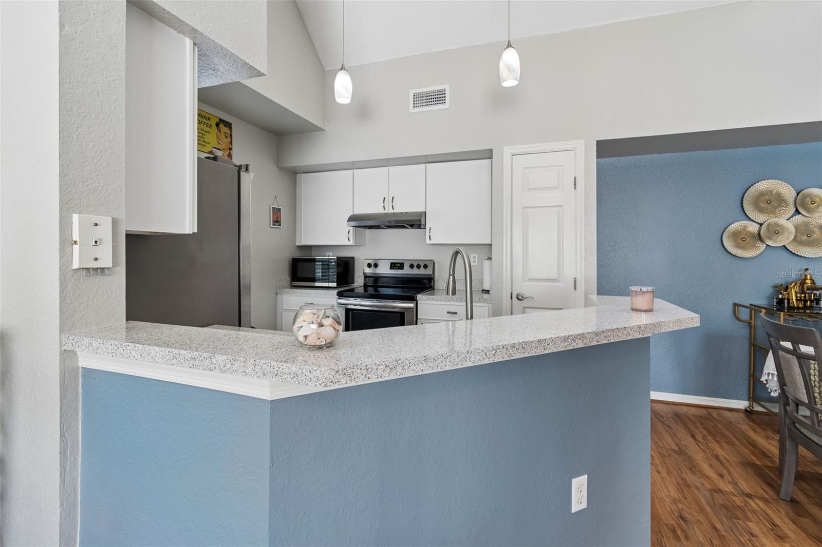 10576 WINDSOR LAKE CT #41, TAMPA, FL, 33626