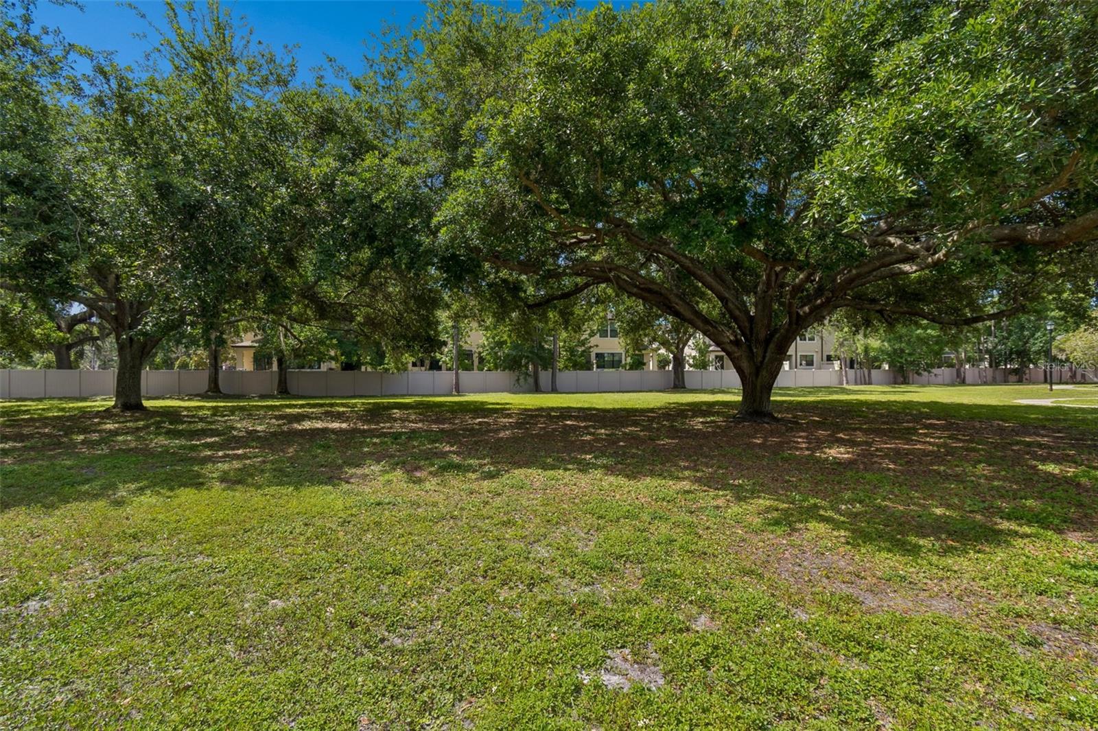 10576 WINDSOR LAKE CT #41, TAMPA, FL, 33626