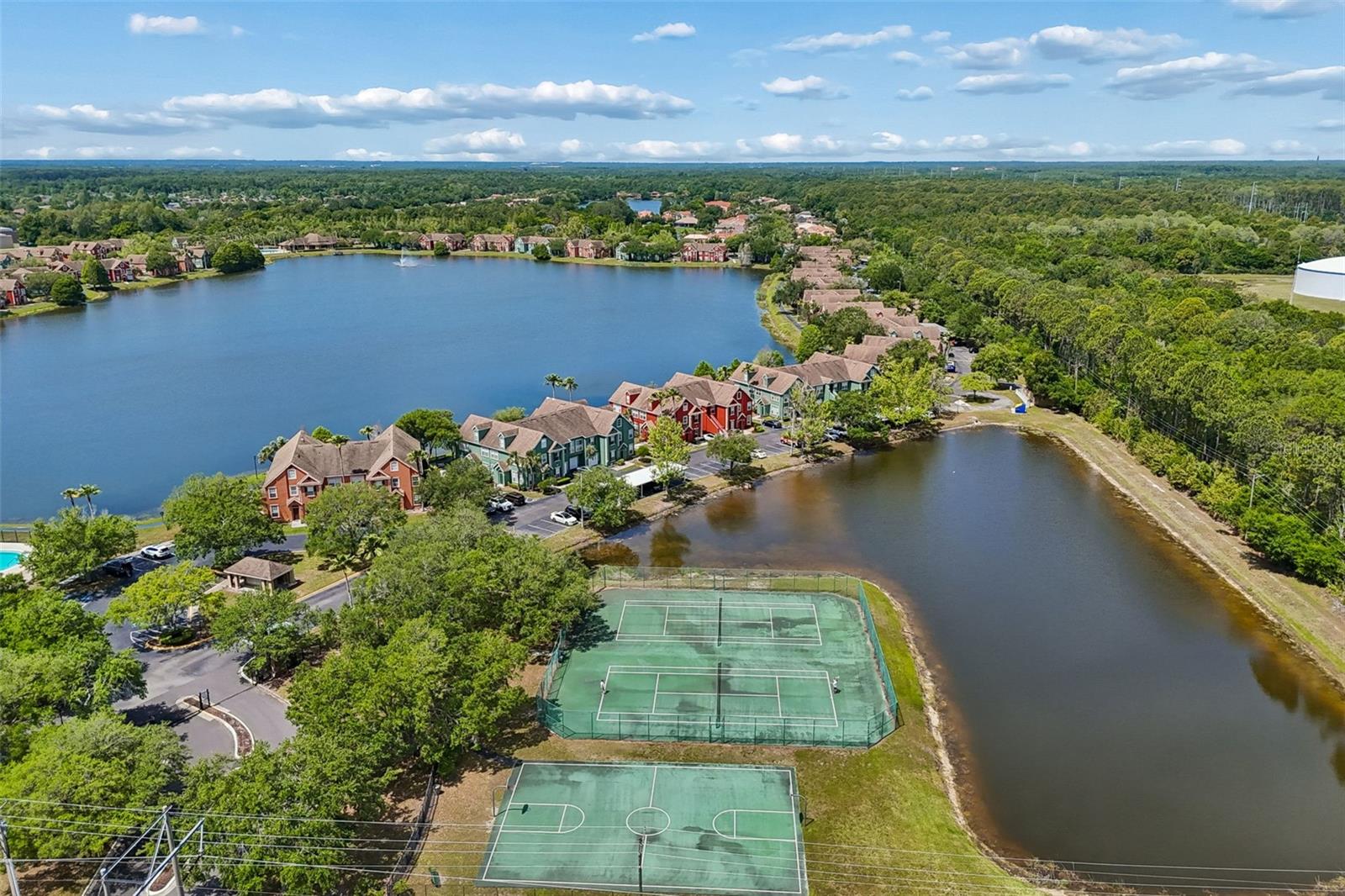 10576 WINDSOR LAKE CT #41, TAMPA, FL, 33626