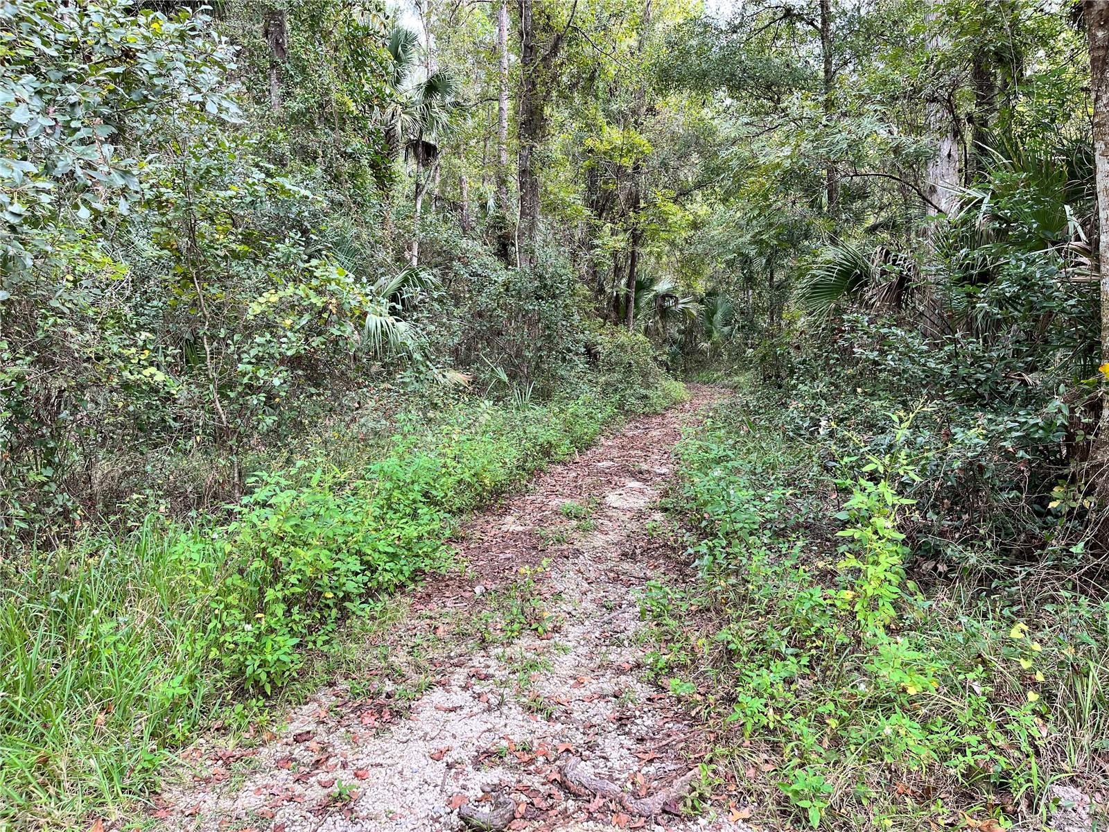 3012 NE 104TH AVE, SILVER SPRINGS, FL, 34488
