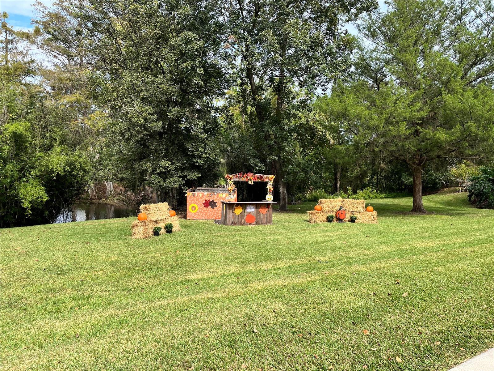3012 NE 104TH AVE, SILVER SPRINGS, FL, 34488