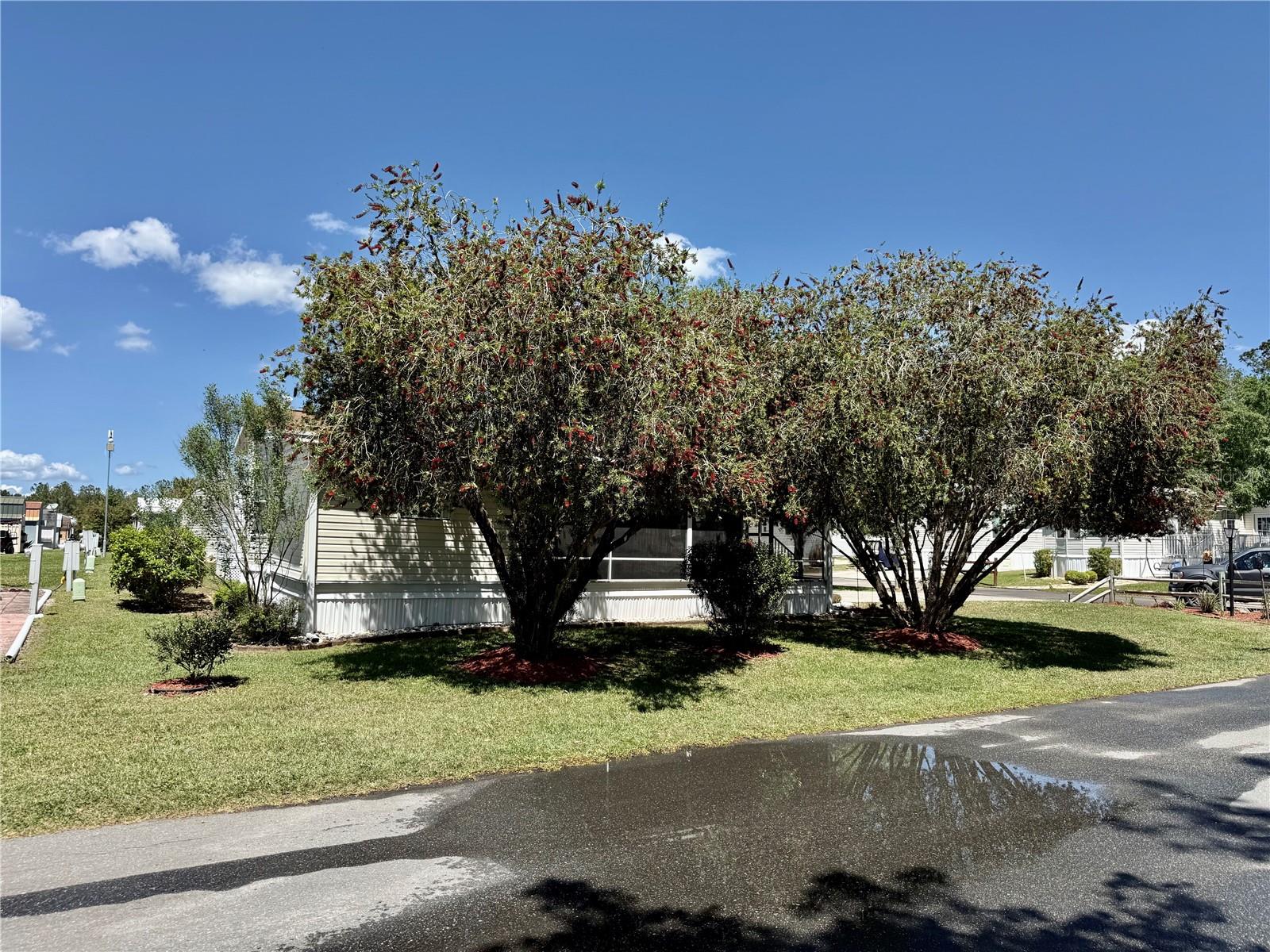 3012 NE 104TH AVE, SILVER SPRINGS, FL, 34488