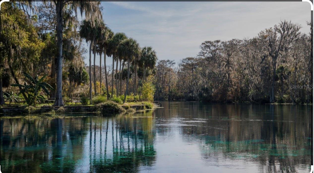 3012 NE 104TH AVE, SILVER SPRINGS, FL, 34488