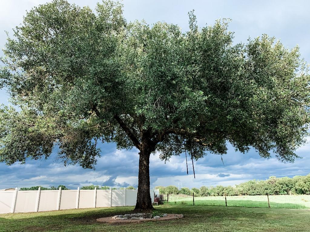 13112 BALM BOYETTE RD, RIVERVIEW, FL, 33579