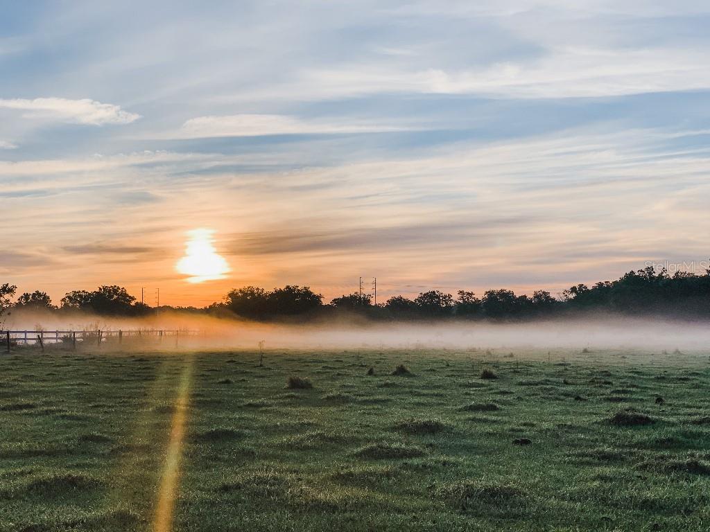 13112 BALM BOYETTE RD, RIVERVIEW, FL, 33579