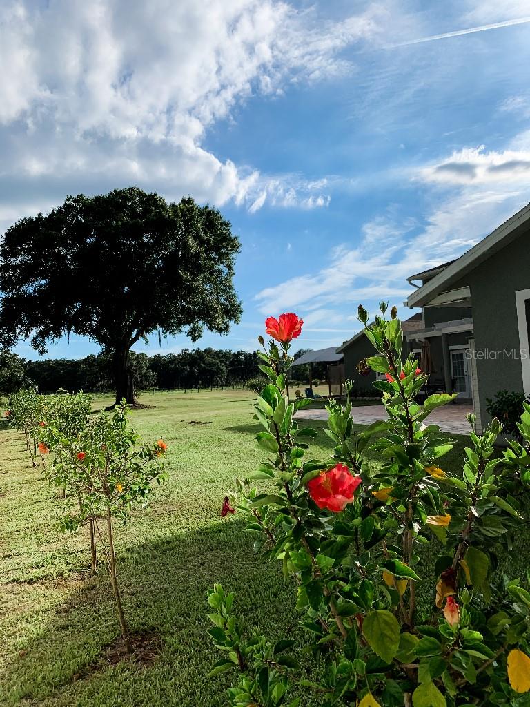 13112 BALM BOYETTE RD, RIVERVIEW, FL, 33579