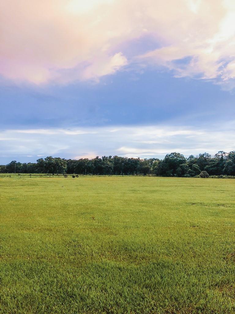 13112 BALM BOYETTE RD, RIVERVIEW, FL, 33579