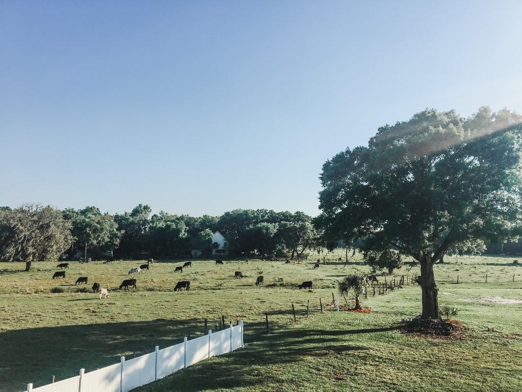 13112 BALM BOYETTE RD, RIVERVIEW, FL, 33579