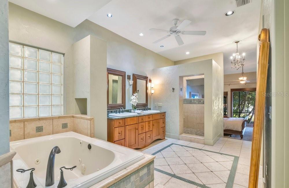 10577 DOWN LAKEVIEW CIR, WINDERMERE, FL, 34786