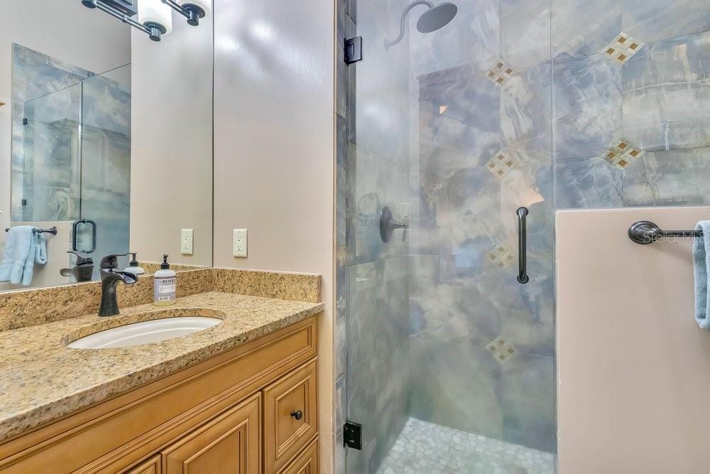 10577 DOWN LAKEVIEW CIR, WINDERMERE, FL, 34786