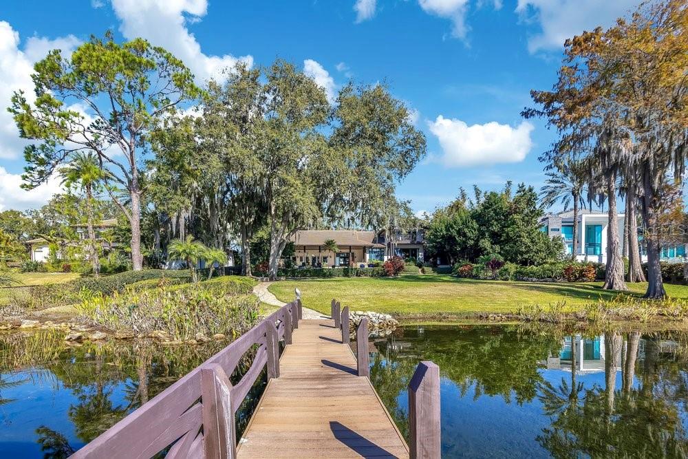 10577 DOWN LAKEVIEW CIR, WINDERMERE, FL, 34786