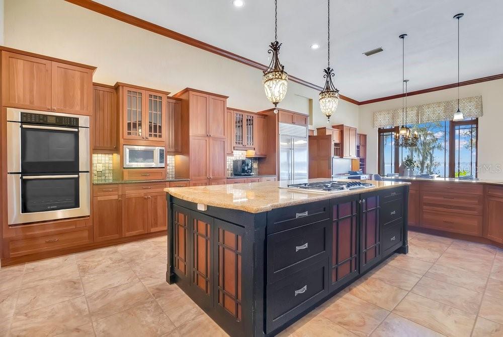 10577 DOWN LAKEVIEW CIR, WINDERMERE, FL, 34786