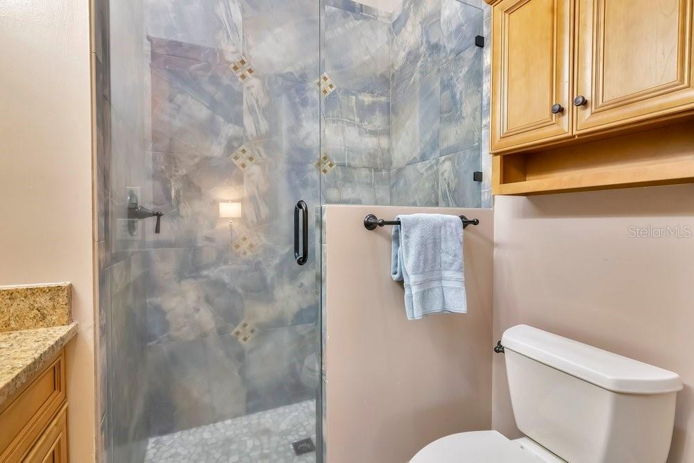 10577 DOWN LAKEVIEW CIR, WINDERMERE, FL, 34786