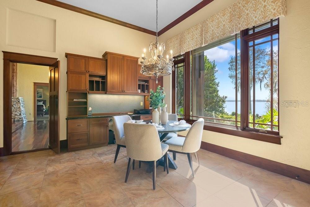 10577 DOWN LAKEVIEW CIR, WINDERMERE, FL, 34786