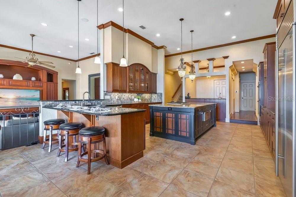 10577 DOWN LAKEVIEW CIR, WINDERMERE, FL, 34786